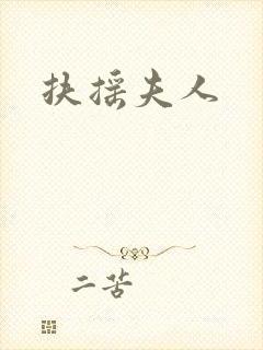 扶摇夫人封面