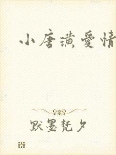 小唐璜爱情历史