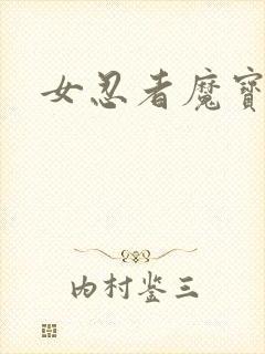 女忍者魔宝传封面