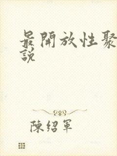 最开放性聚会小说