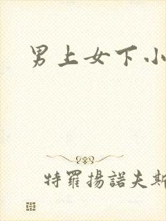 男上女下小说