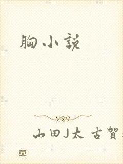 胸小说