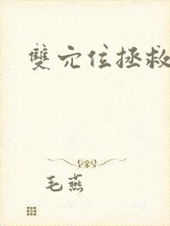 双穴位拯救世界封面