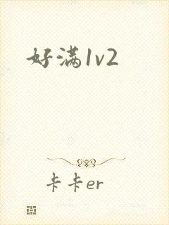 好满1v2