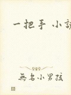 一把手 小说