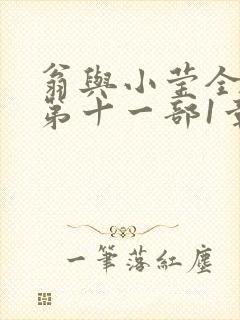 翁与小莹全目录第十一部1章