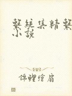 系统集精系统 小说