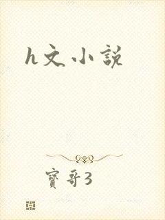 h文小说