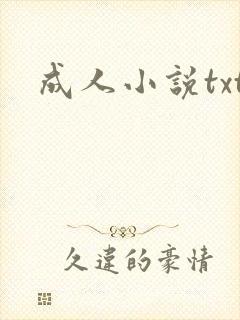 成人小说txt封面