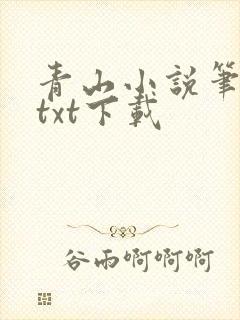 青山小说笔趣阁txt下载
