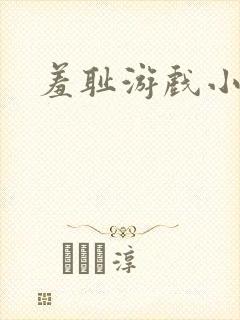 羞耻游戏小说封面