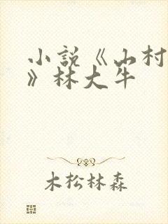 小说《山村情事》林大牛