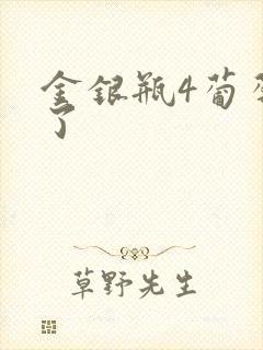 金银瓶4葡萄熟了封面