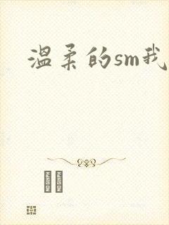 温柔的sm我