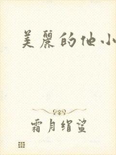 美丽的他小说封面