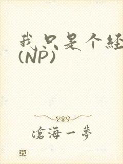 我只是个经纪人(NP)