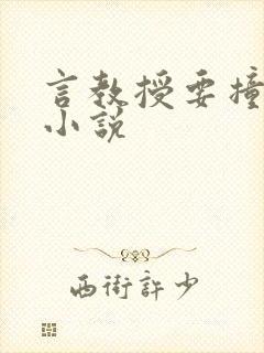 言教授要撞坏了小说