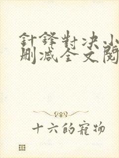 针锋对决小说未删减全文阅读