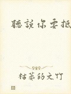 听说你要抵抗我