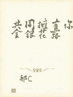 共同拥有你by金银花露封面