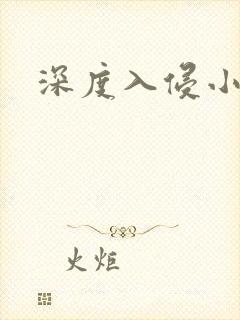 深度入侵小说