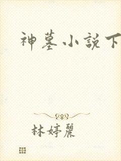 神墓小说下载