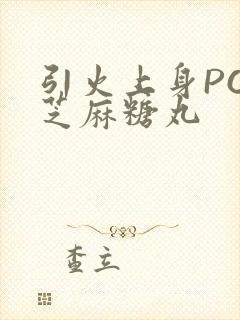 引火上身POP芝麻糖丸封面