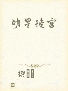 明星后宫