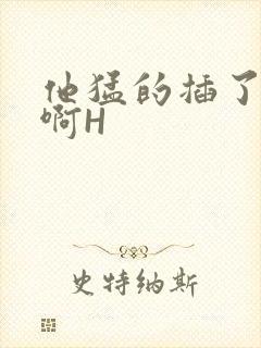 他猛的插了进去啊H