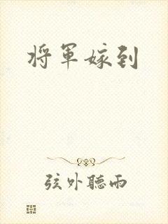 将军嫁到