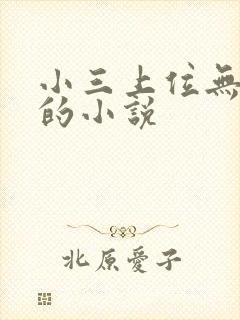 小三上位无三观的小说