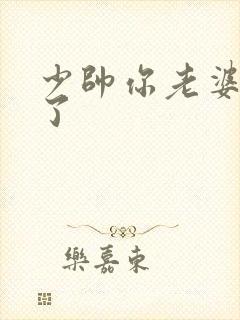 少帅你老婆又跑了封面