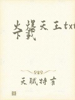 火爆天王txt下载封面