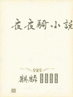 夜夜骑小说封面