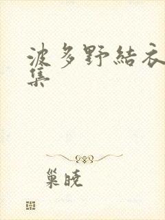 波多野结衣作品集封面