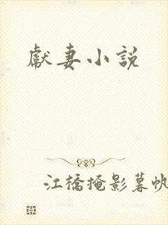 献妻小说