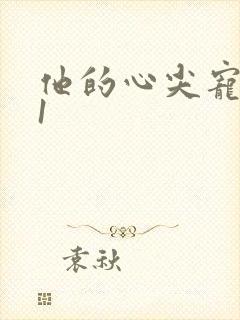 他的心尖宠1v1