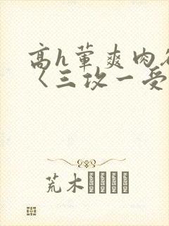 高h荤爽肉欲文〈三攻一受〉视频