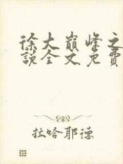 徐大巅峰之路小说全文免费阅读封面