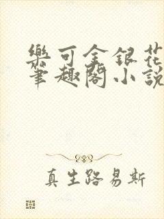 乐可金银花免费笔趣阁小说