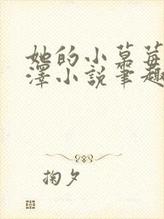 她的小草莓魏承泽小说笔趣阁封面