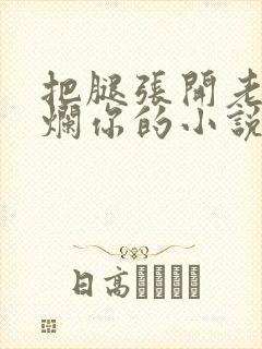 把腿张开老子臊烂你的小说封面