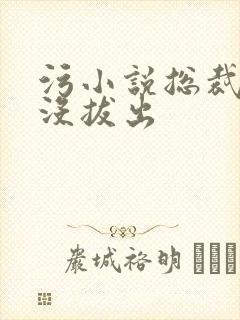 污小说总裁整夜没拔出封面