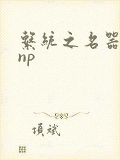 系统之名器攻略np