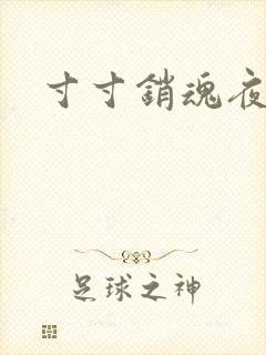 寸寸销魂夜春光