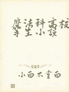 魔法科高校的劣等生小说