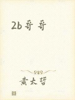 2b哥哥