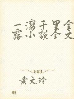 一泻千里金银花露小说全文免费阅读封面