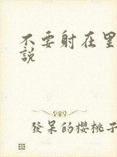不要射在里面小说