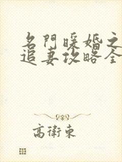 名门暖婚之权爷追妻攻略全文免费阅读封面